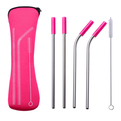 Reusable 304 Stainless Steel Straw Set with Cleaning Brush and Travel Pouch