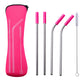 Reusable 304 Stainless Steel Straw Set with Cleaning Brush and Travel Pouch