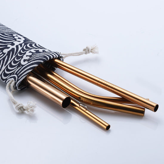 Minimalist Stainless Steel Straw Set | 9 Straws and Brushes in Pouch