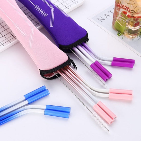 Reusable 304 Stainless Steel Straw Set with Cleaning Brush and Travel Pouch