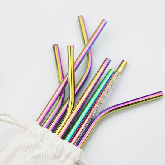 Minimalist Stainless Steel Straw Set | 9 Straws and Brushes in Pouch